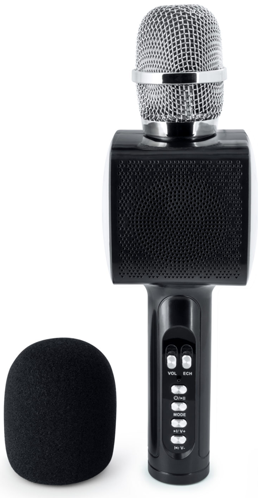 Micro Karaoke sans fil BT tout-en-un — La Ribouldingue