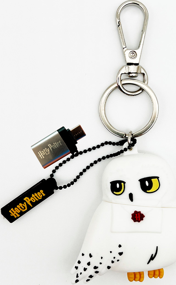 Clé USB 3.2 32GB Hedwige Wondee