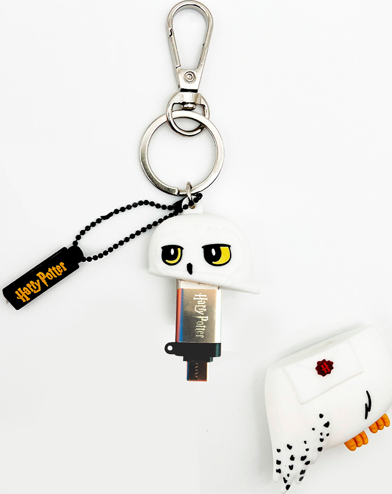 Image secondaire de Clé USB 3.2 32GB Hedwige Wondee