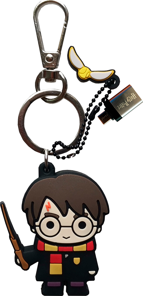 Clé USB 3.2 + USB C 32GB Harry Potter Wondee