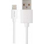 C&acirc;ble de synchronisation PNY et de charge blanc USB/lightning