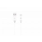 Câble USB A/USB C 2m Blanc Bigben
