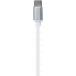 Ecouteurs USB C avec c&acirc;ble plat Blanc Bigben