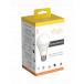 Ampoule LED Smart WiFi + Bluetooth® Antalya Color 11W Blanc Konyks