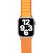 Bracelet Apple Watch 38-40-41mm Boucle alpine 138 à 205mm 38-40-41mm Orange