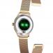 FW42 Smart Watch Gold Maxcom